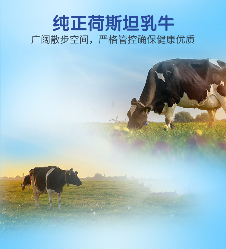子母巧克力味牛奶225ml_04.jpg